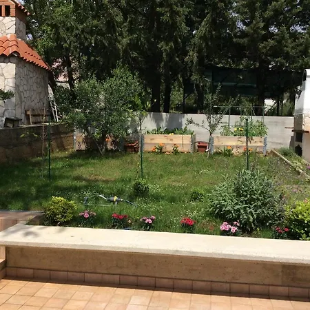 Pin * Pinezići